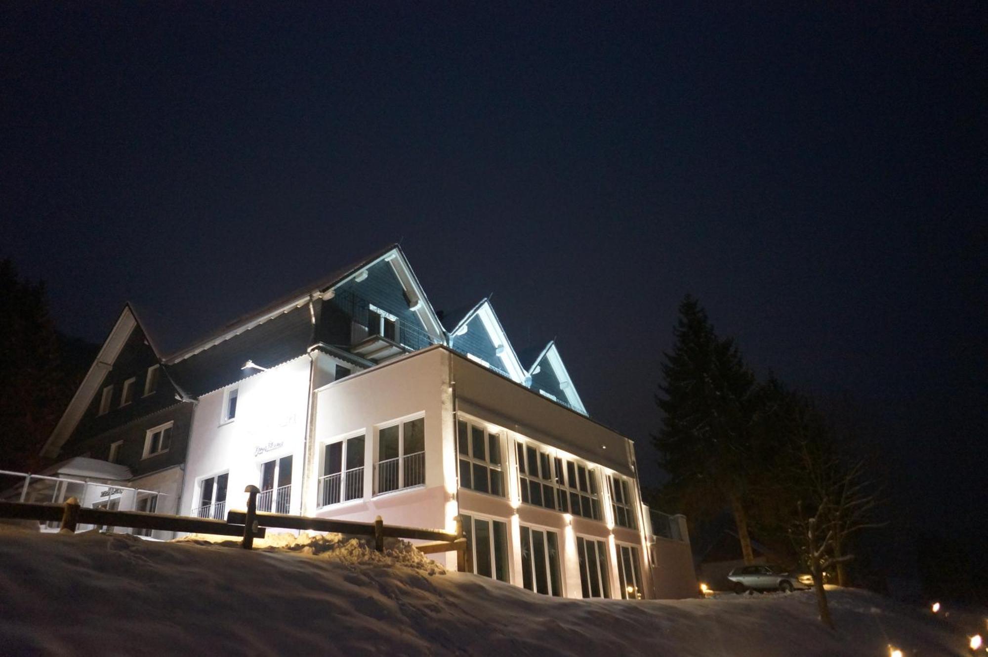 Waldhotel Schinkenwirt Olsberg Eksteriør bilde