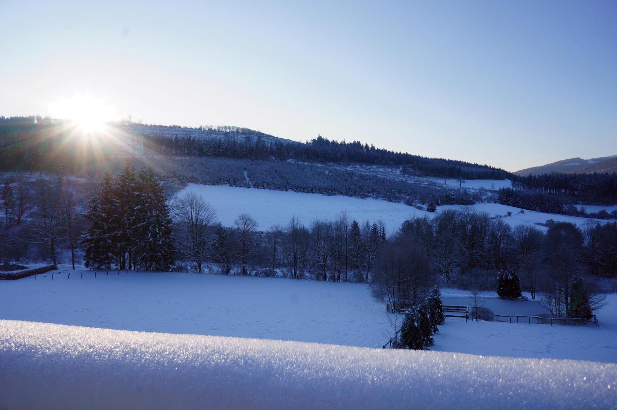 Waldhotel Schinkenwirt Olsberg Eksteriør bilde