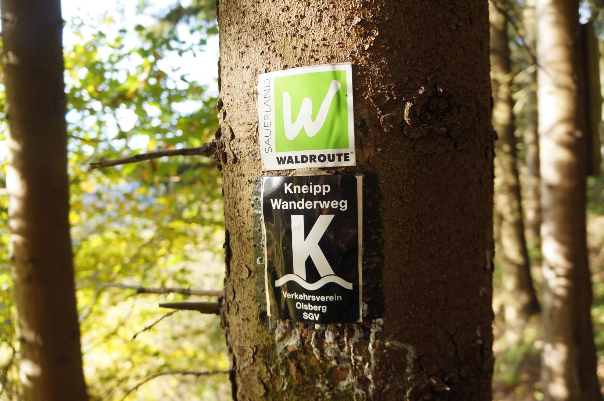 Waldhotel Schinkenwirt Olsberg Eksteriør bilde