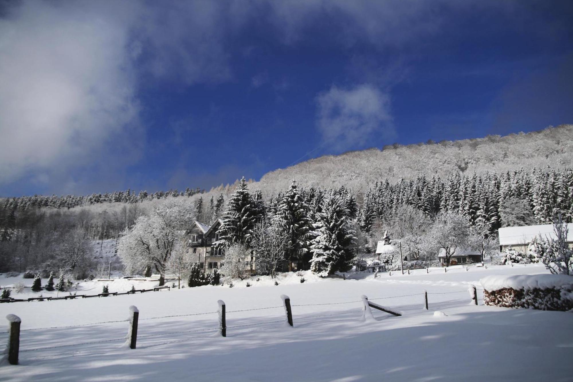 Waldhotel Schinkenwirt Olsberg Eksteriør bilde