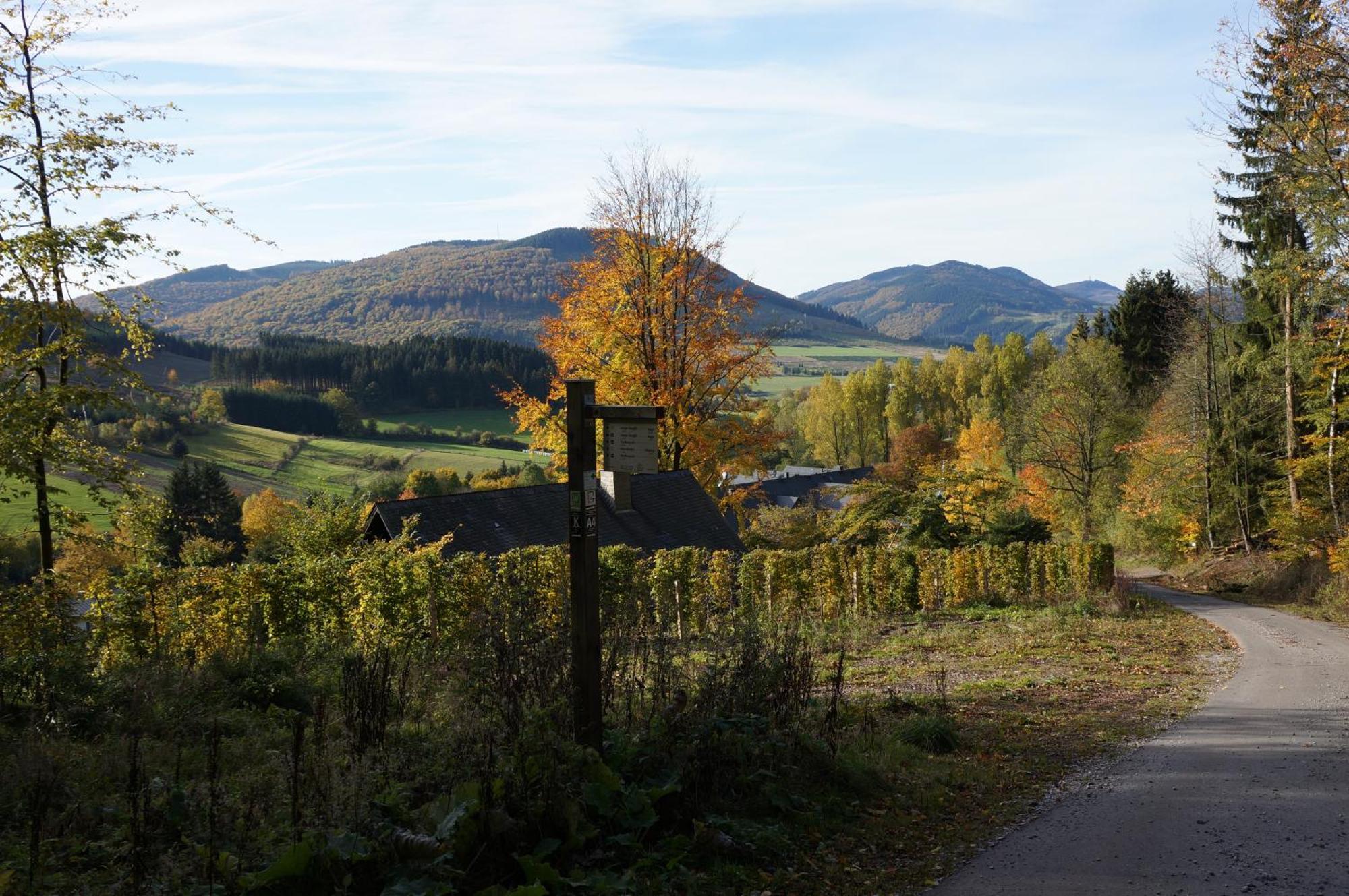 Waldhotel Schinkenwirt Olsberg Eksteriør bilde