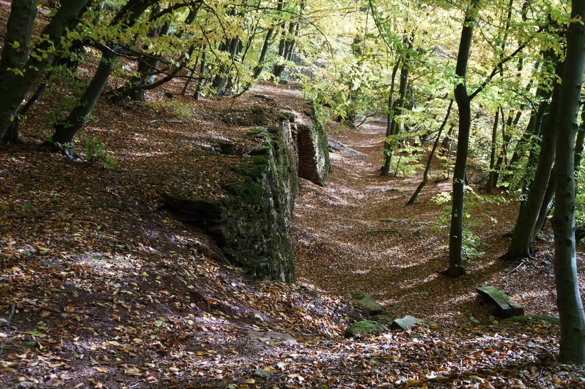 Waldhotel Schinkenwirt Olsberg Eksteriør bilde